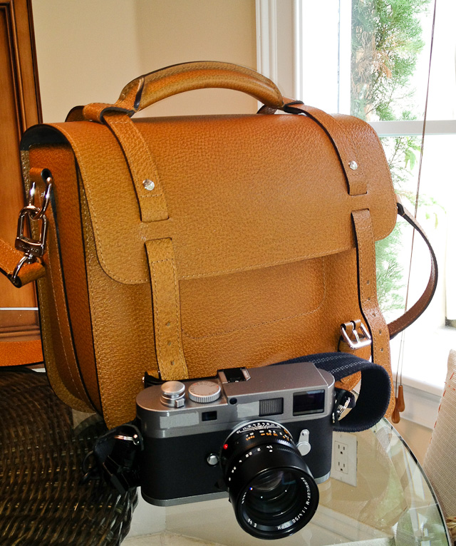 Louis Vuitton Reporter Camera Bag